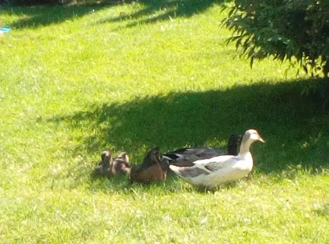 Landhaus-koenigsberg, Vorberg 360 Ebenguetlweg شقة